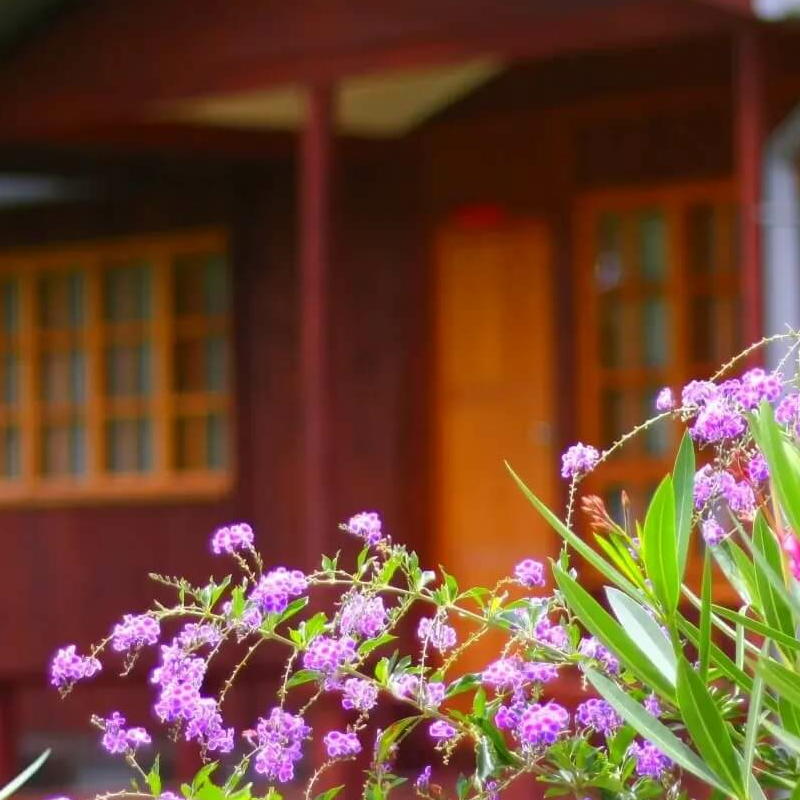 Wileli House