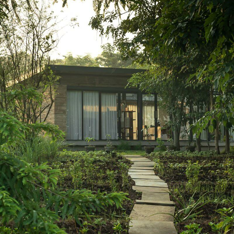 Woods at Sasan