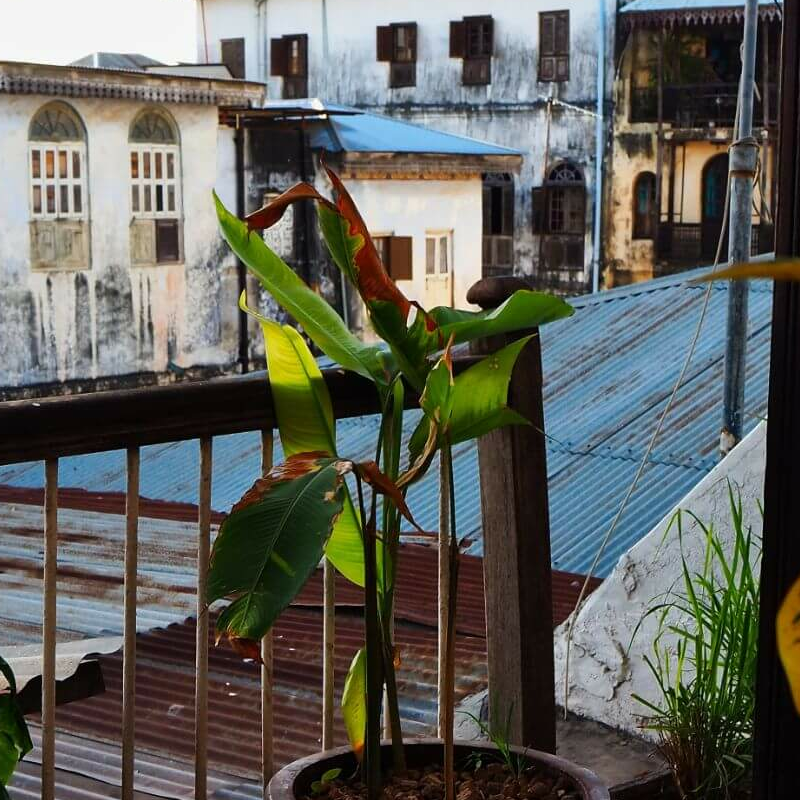 Zanzibar Coffee House