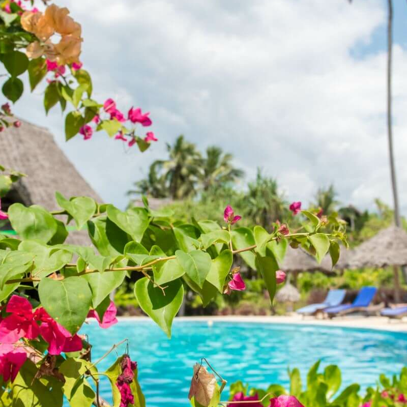 Zanzibar Queen Hotel