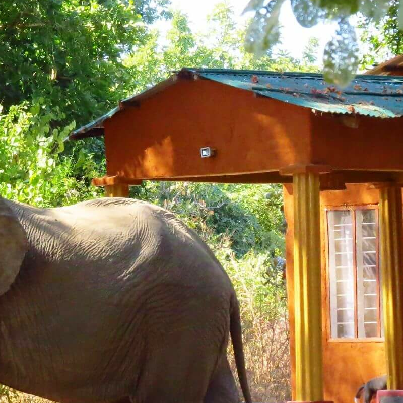 Zikomo Safari Camp