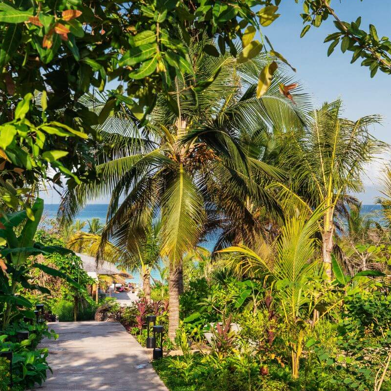 Zuri Zanzibar