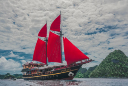 Begebt Euch auf die Kreuzfahrt Eures Lebens in Raja Ampat
