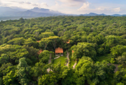 Besuch den West Bali National Park