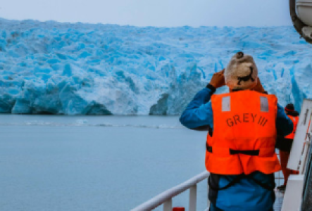 Besucht den Grey-Gletscher