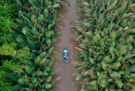 Bootsafaris auf Borneo