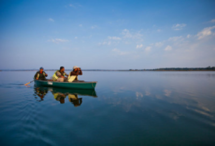 Bootsafaris in Indien