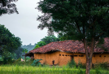 Community Tourismus in Indien