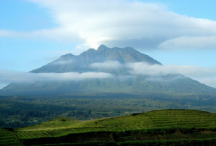 Die sagenhaften Virunga-Vulkane besteigen