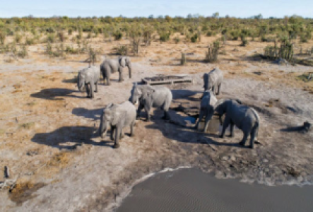Fotoverstecke in Botswana