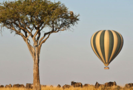Mit dem Balloon über der Masai Mara