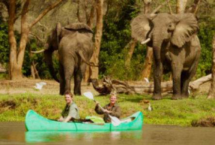Mit dem Kanu im Lower Zambezi Nationalpark unterwegs