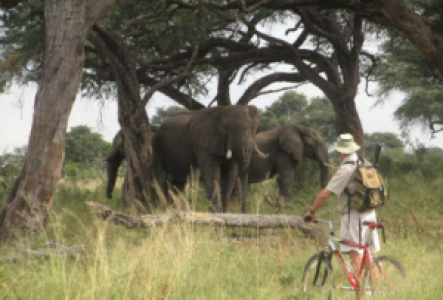 Mountainbiking im South Luangwa Nationalpark