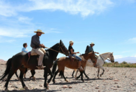 Pferdeausritte in der Atacama Wüste