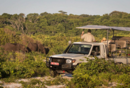 Pirschfahrten im Loango Nationalpark