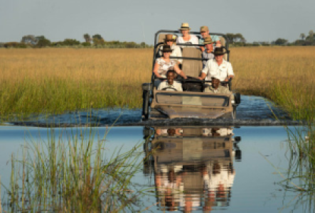 Pirschfahrten in Botswana