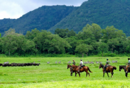 Reiten im West Kilimanjaro