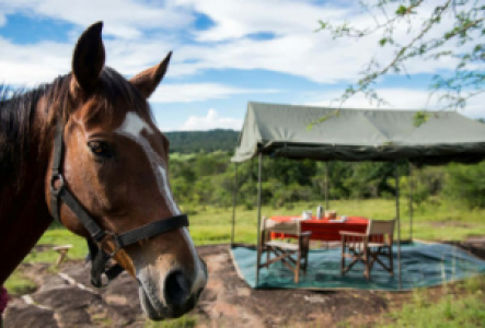 Reitsafari im Lake Mburo Nationalpark