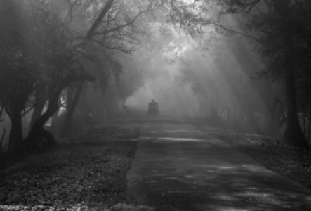 Rikschafahrt im Bharatpur Bird Sanctuary