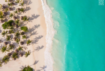 Safari und Strand