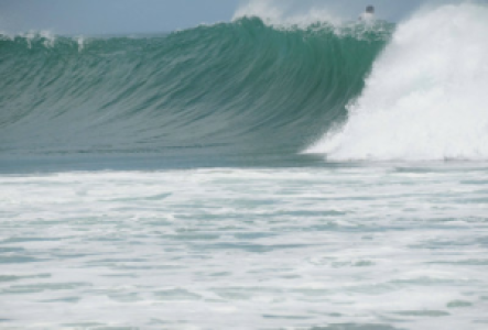 Surfen auf Sri Lanka