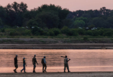 Walkingsafari im Luambe Nationalpark
