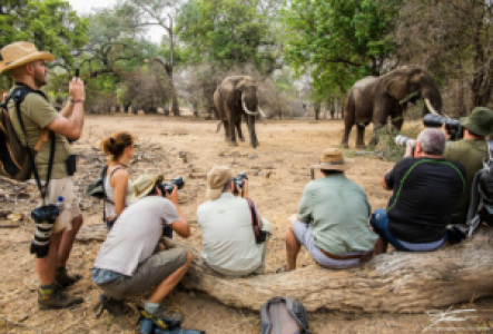 Walksafaris