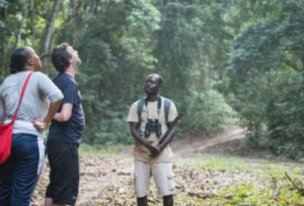 Walksafaris im Pongara Nationalpark