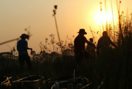 Walksafaris in Botswana