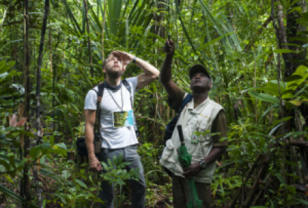 Walksafaris in Madagaskar