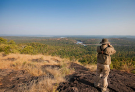 Walkssafaris im Satpura Nationalpark