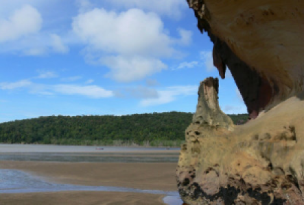 Wandern auf Borneo