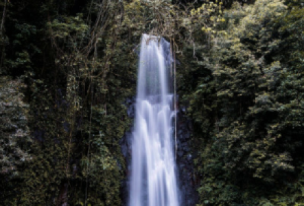 Wandern auf Sao Tome und Principe