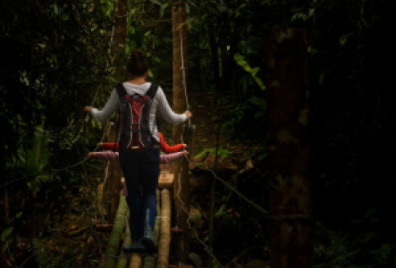 Wandern im Amazonasgebiet