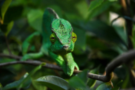 Madagaskar unbekannter Norden image