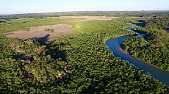 Anjajavy