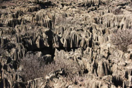 Ankarana Nationalpark display image