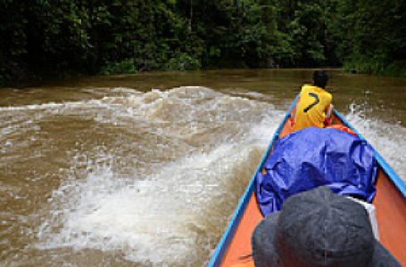 Batang Ai Nationalpark