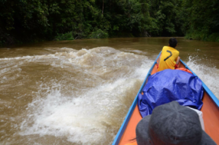 Batang Ai Nationalpark display image