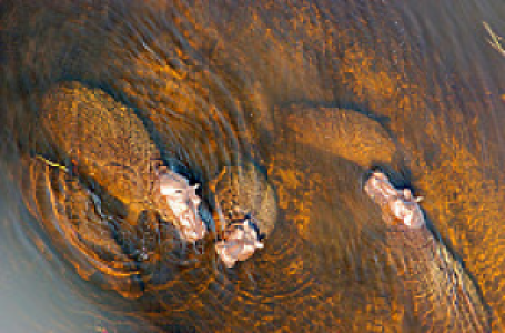 Botswana