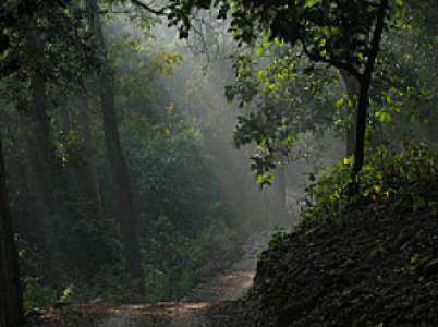 Corbett Tiger Reserve