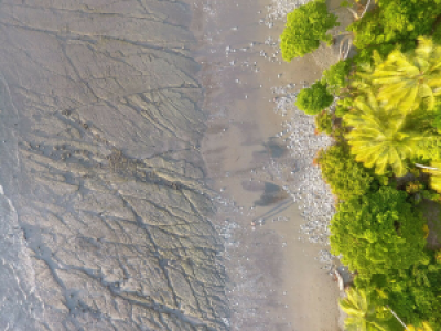 Costa Rica Tierbeobachtungsreise: die reiche Küste image