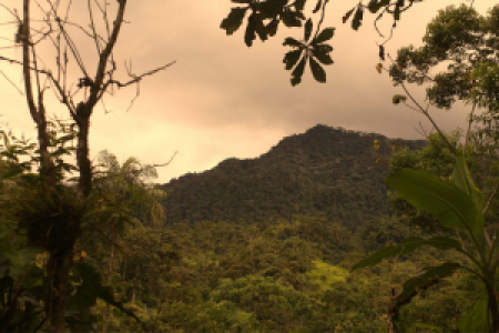 Ecuador Grand Safari image