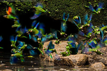 Ecuador Reisen