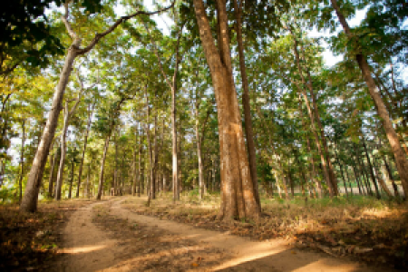 Satpura