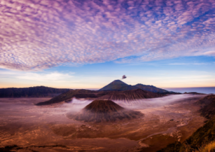 Indonesiens ultimative Primatensafari image
