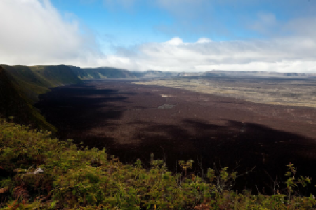 Galapagos-Inselhüpfen mit Badeverlängerung image