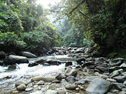 Kayan Mentarang