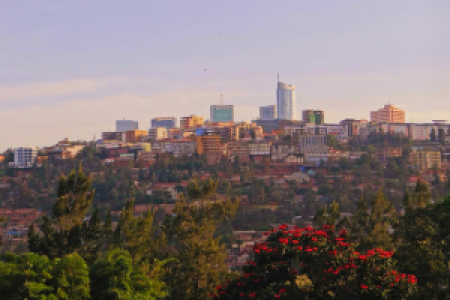 Ruanda und Kongo Virunga Primatensafari image
