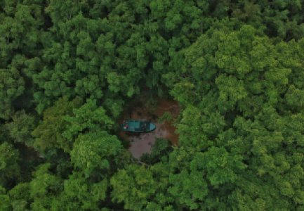 Borneo, Land der Riesen Grand Safari image